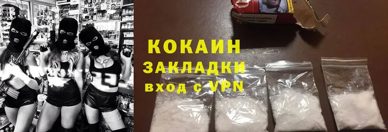 где можно купить наркотик  Данков  Cocaine Эквадор 